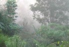 Forrestanialandscaping-irrigation-4.jpg; ?>